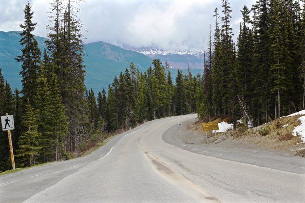 13115947_10153977624840339_5916907621149340652_o