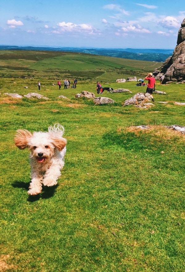 Processed with VSCO with k3 preset