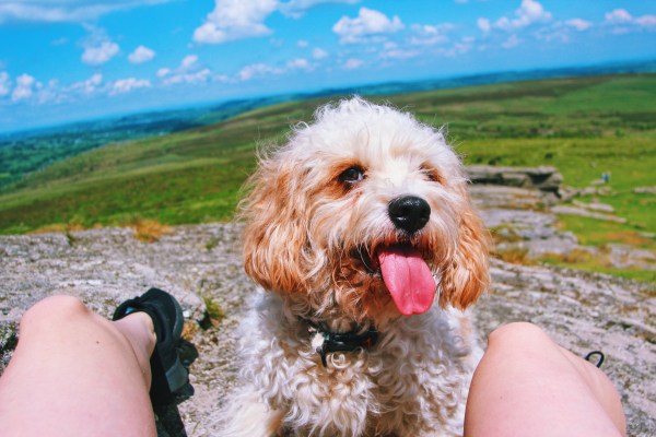 Processed with VSCO with k3 preset