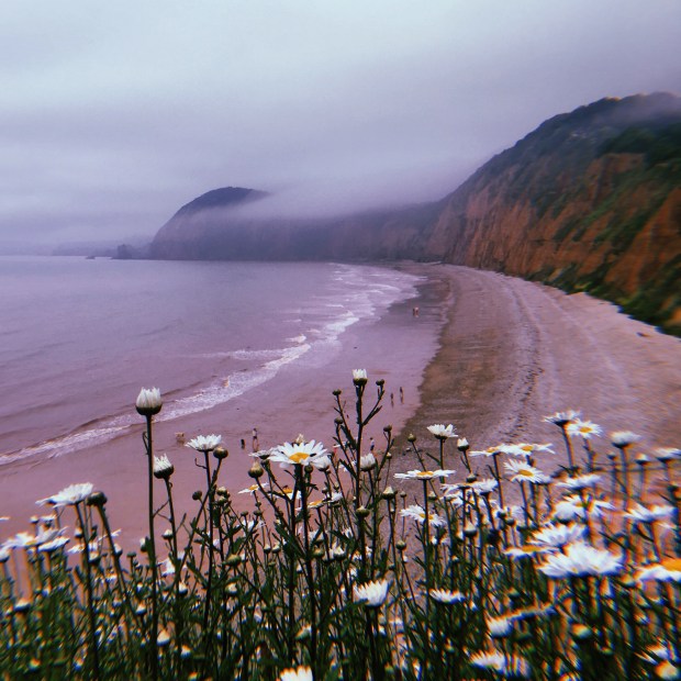 NY Resolutions |&nbsp;2023