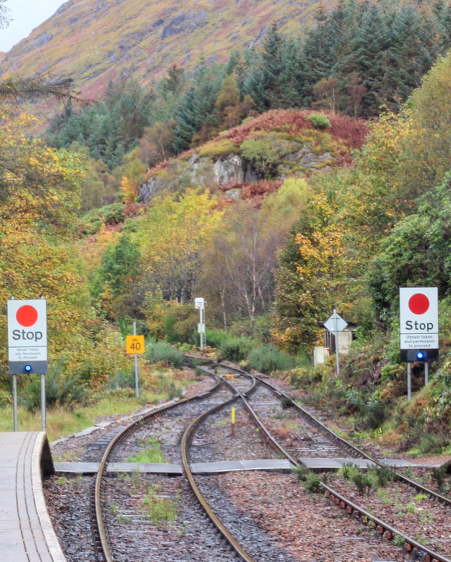 4228AFB8-3522-4C4D-9827-1EB3E856AC55 2