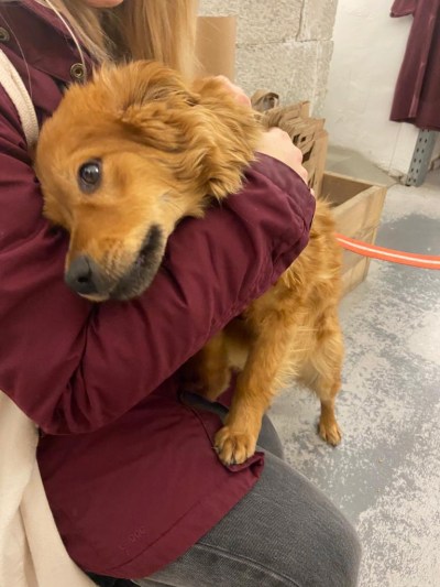 3ecc3c4a-0b02-4d6e-b450-484b95aaf8b8